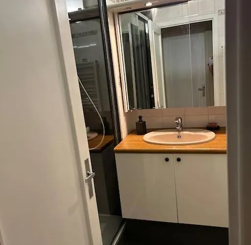 Апартаменты Cosy Клермон-Ферран